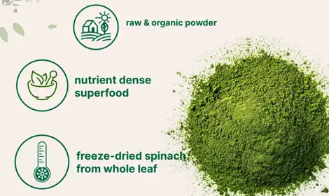 OEM Freeze Dried Spinach Powder for Private Label Brands